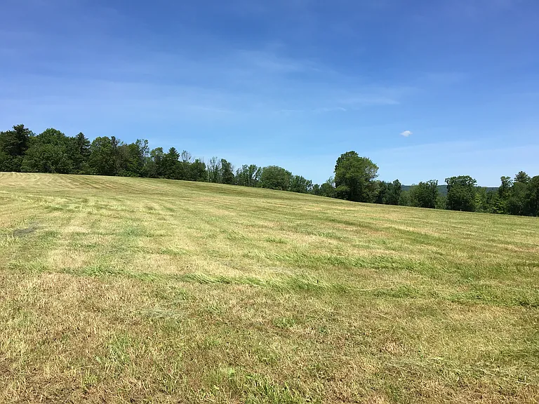 175 1st Crown Point Rd — Photo 8