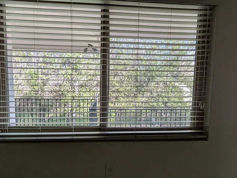 1650 Myrtle Ave #77 — Photo 12