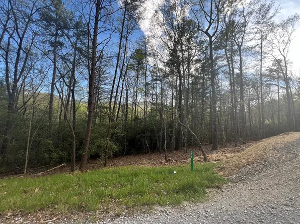 107 Sadie Way, Blairsville, GA 30512