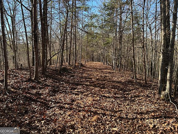 2nd image of 0 Twin River Orchard Rd #1