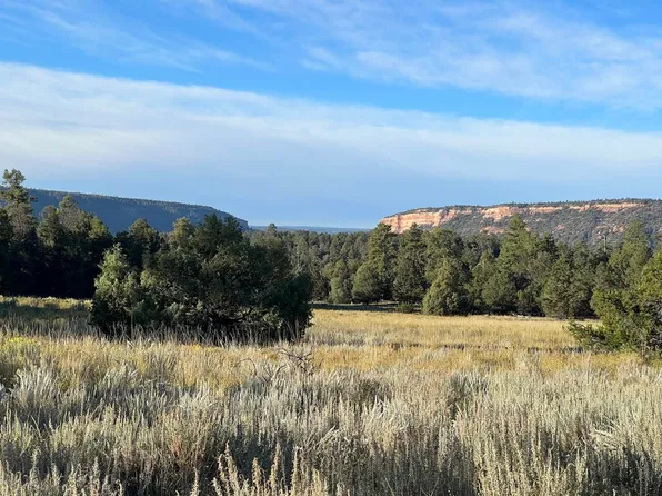 Woodland Dr, Ramah, NM 87321