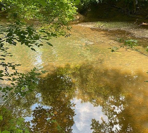 5th image of 123 Bend Of River Ln