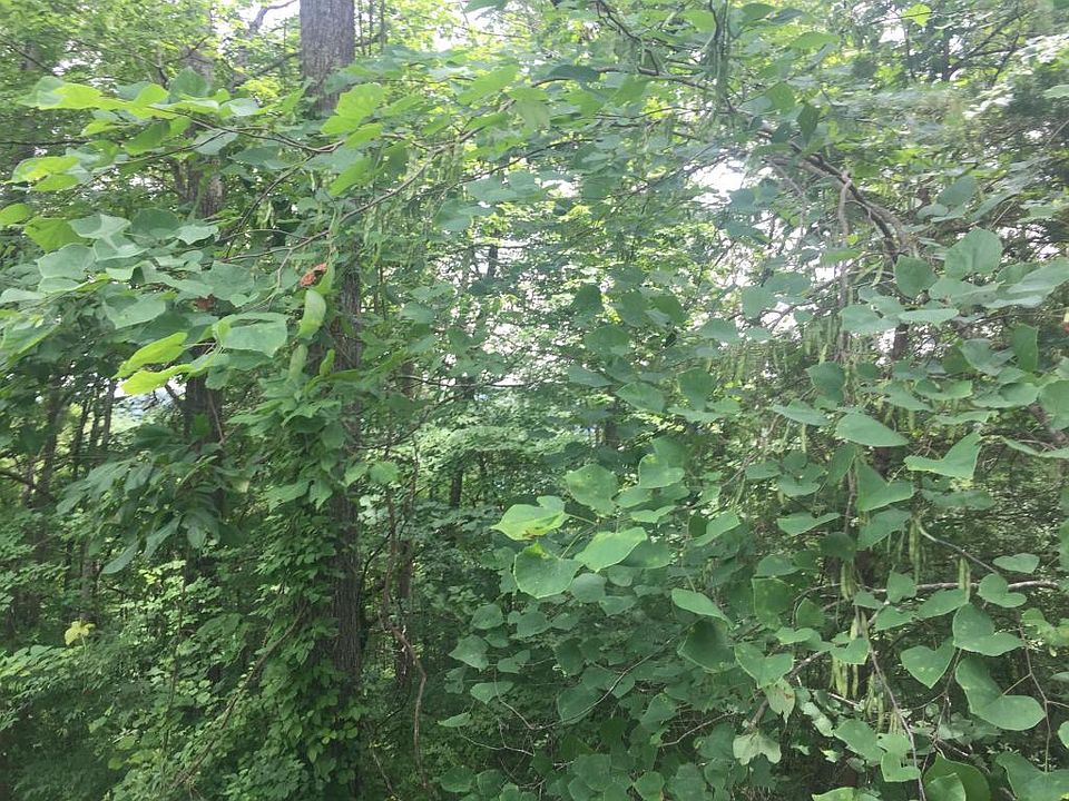 2nd image of Indian Creek Rd