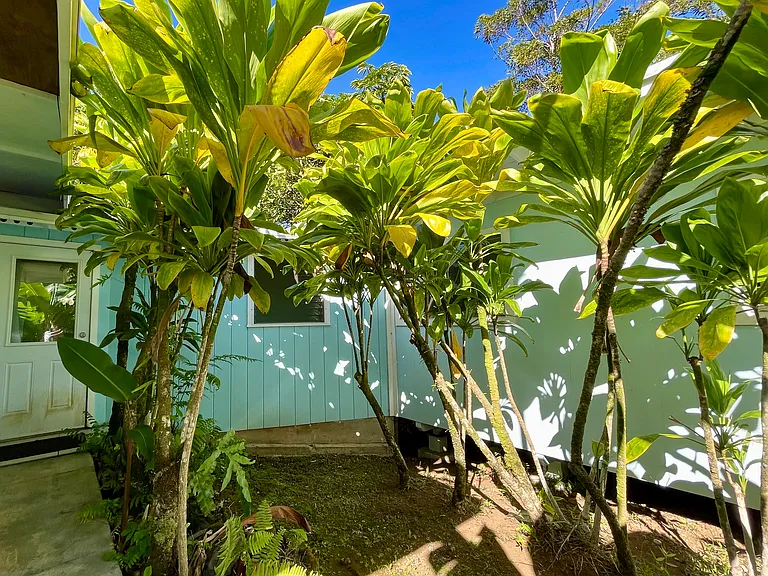 90 N Lanikai Pl — Photo 9
