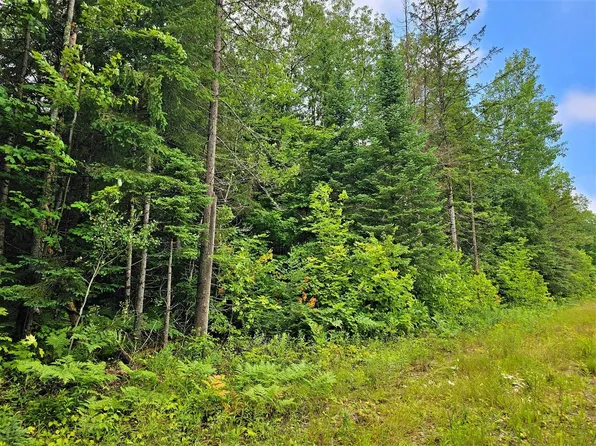2OFF Gerry Rd, Iron Belt, WI 54536
