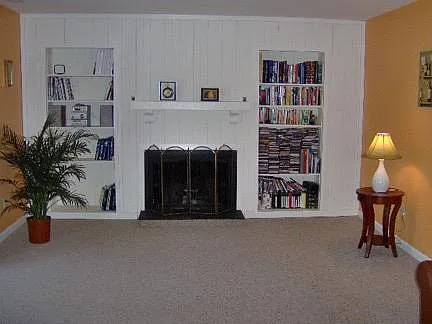 Living room (fireplace, bookshelves)