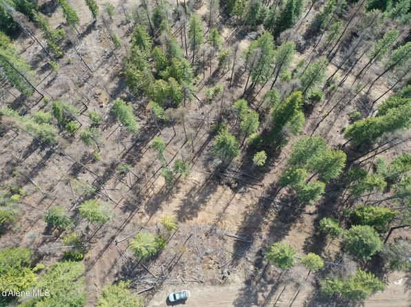 721 Upriver View Dr, Fernwood, ID 83830