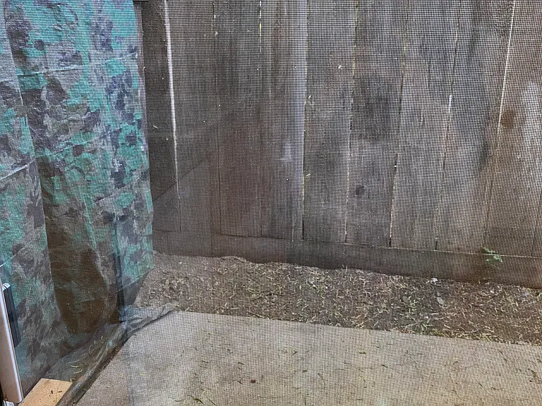 805 South St #14 — Photo 12