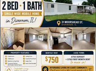 31 Moorshead St, Divernon, IL 62530