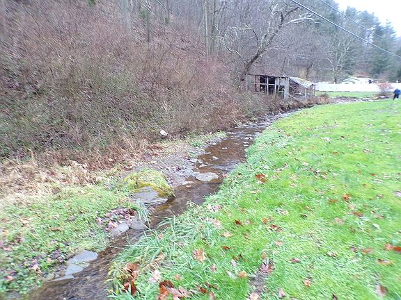 Small creek behind house