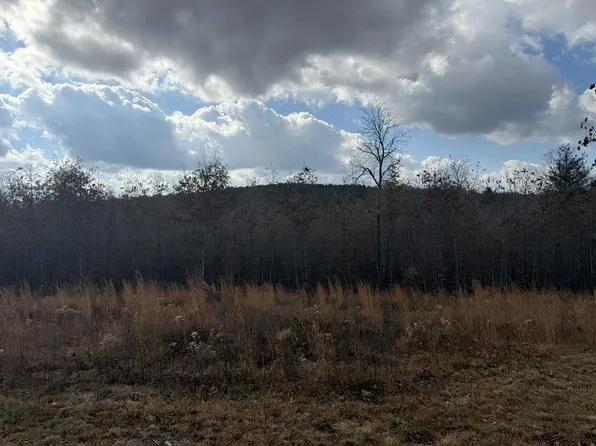 0 Valerie Dr, Deer Lodge, TN 37726