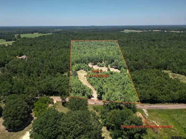 23189 County Road 244 Tract 2, Overton, TX 75684