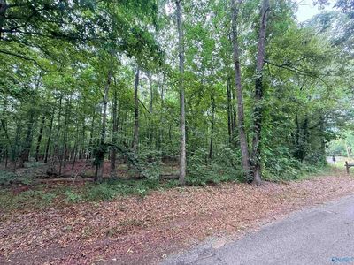 1 County Road 667, Cedar Bluff, AL, 35959