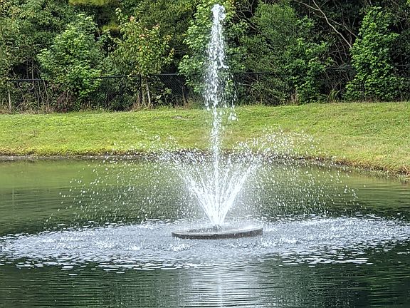 PXL_20210911_134646915_09142021