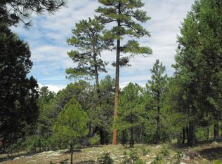 2290 Well Water Rd, Happy Jack, AZ 86024