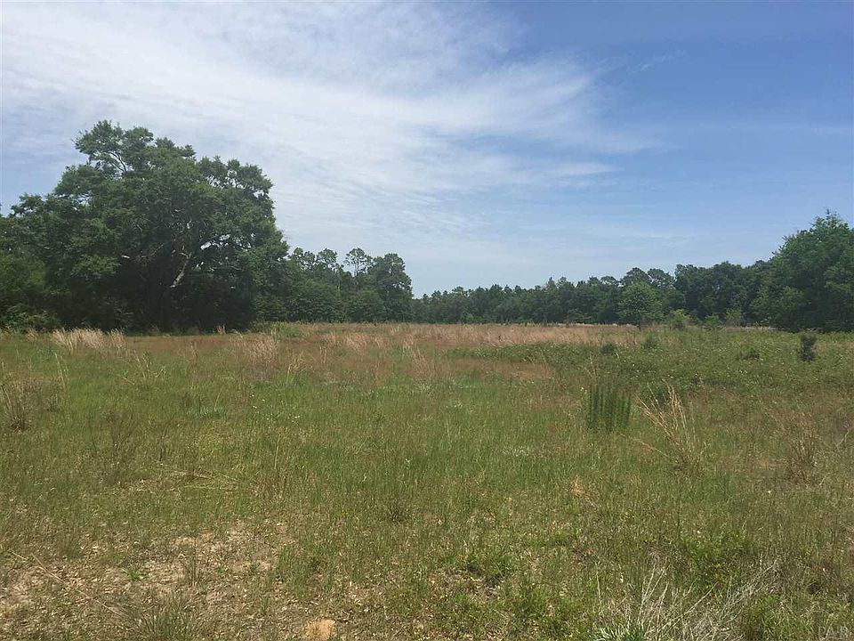 2nd image of Willard Norris Rd