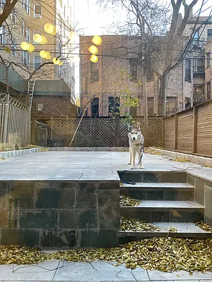 Rented by Compass | media 23