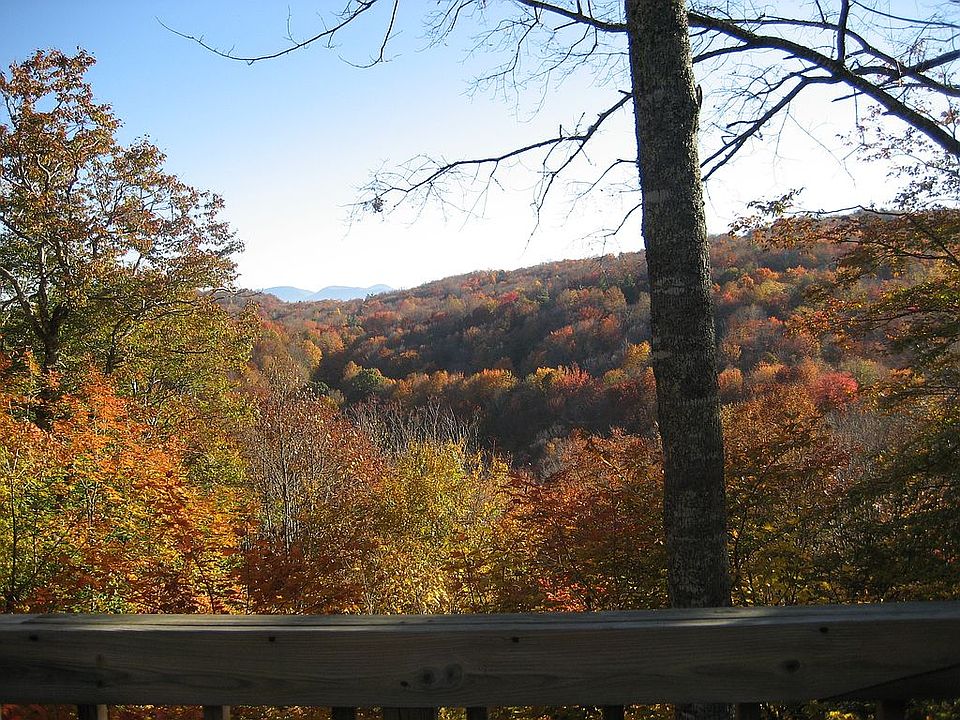 Autumn View