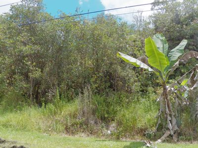 Haumalu St LOT 121, Volcano, HI, 96785