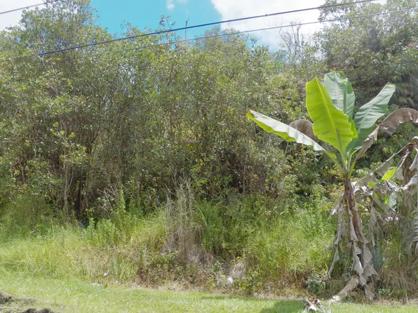 Haumalu St Lot 121, Volcano, HI 96785