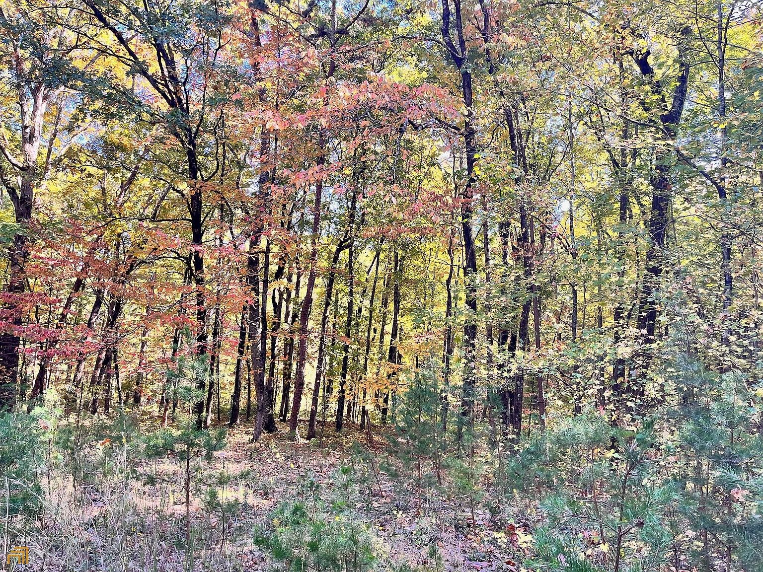 10 Wauka Mountain Rd, Clermont, GA 30527 MLS 10103904 Zillow