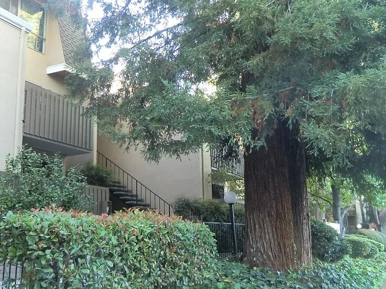 1477 De Rose Way #140 — Photo 14