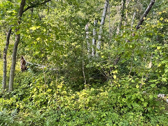 5th image of 29890 Ranchette Dr