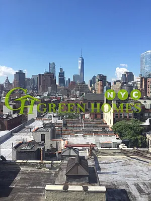 Rented by Green Home NY Realty LLC | media 31