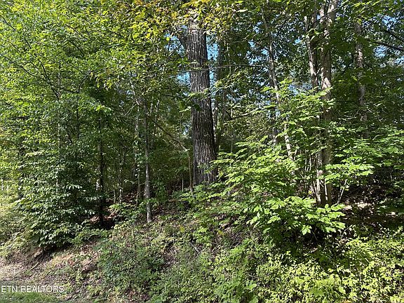 4th image of 0 Satterfield Rd