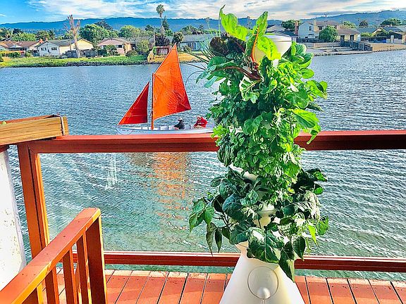 Sunny deck is perfect for hydroponic gardening (farmstand not included).