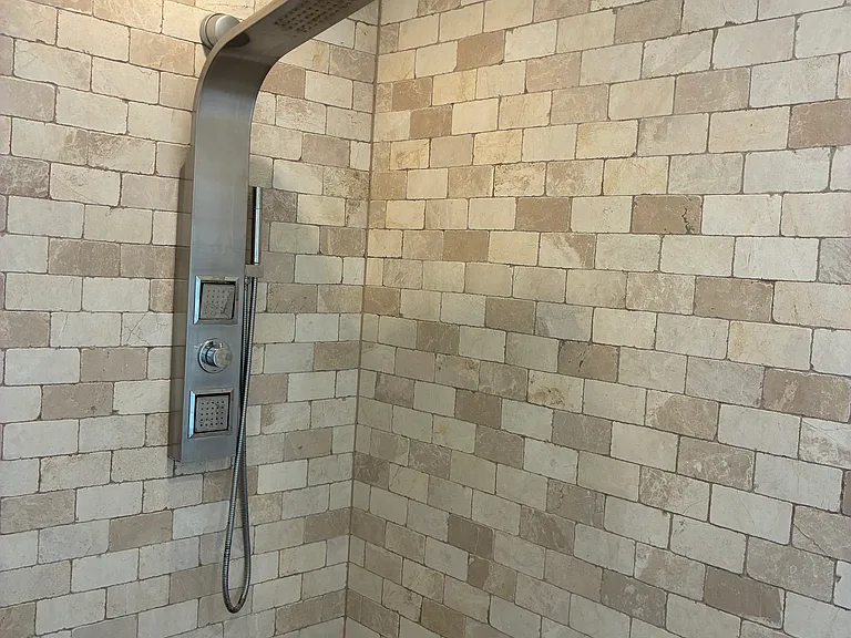 Rain head and multiple shower wands