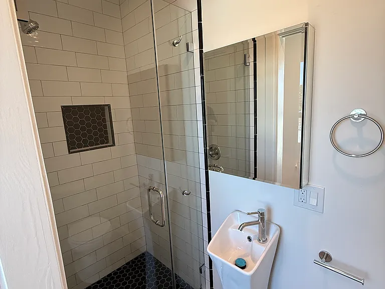 Clear Frameless Shower Door