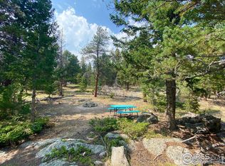 200 Hard Way Rd, Ward, CO 80481