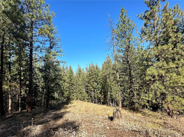 142 C Red Pine Court, Winthrop, WA 98862