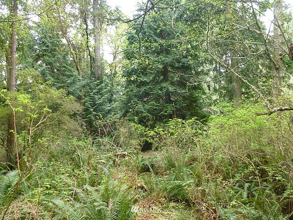 4th image of 0 Lot 12 Sunrise Drive NE