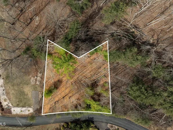 LOT 4 Forge Creek Cir, Mountain City, TN 37683