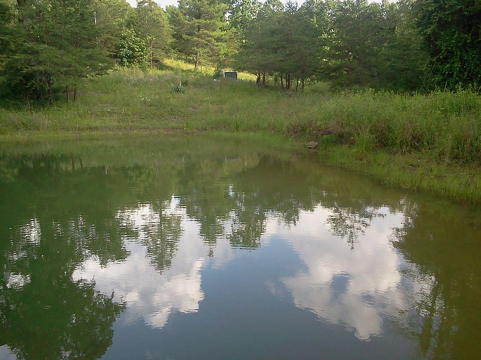 2nd image of 475 Fred Braddock Rd