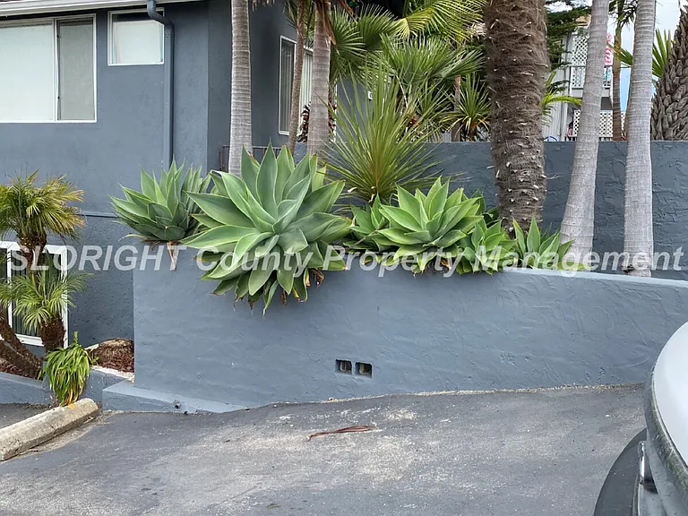 427 Norfolk St — Photo 15