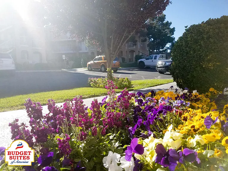 10222 N Walton Walker Blvd #A1016 — Photo 14