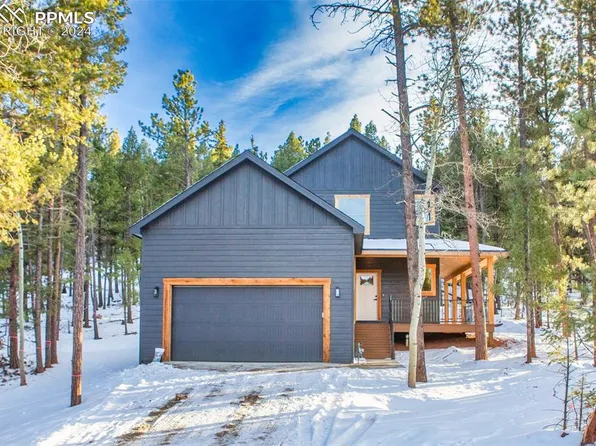 665 Bradford Dr, Woodland Park, CO 80863