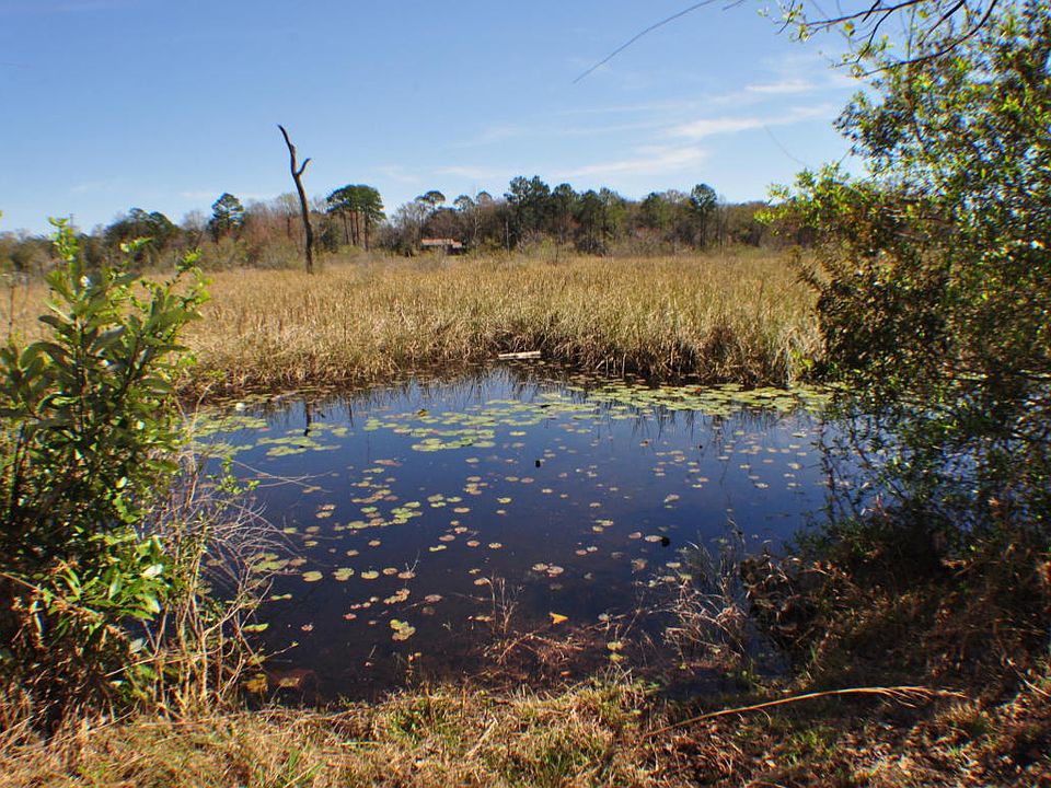 2nd image of 6351 Blue Gill Dr