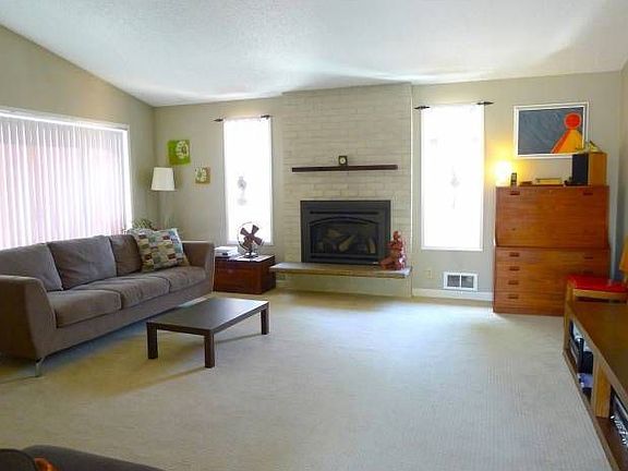 Gas Fireplace Insert