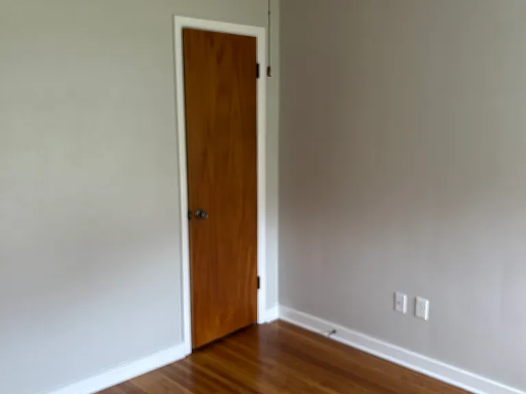 2nd BEDROOM CLOSET AND CEILING FAN - BLINDS
