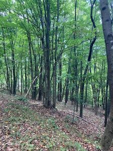 0 Ridgefield Ln, Ferrum, VA, 24088