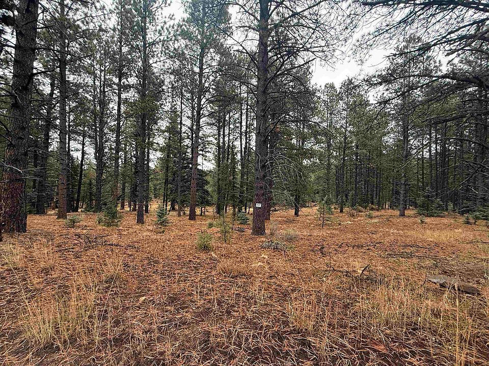 1st image of Lot 37 S Valle Grande Trl