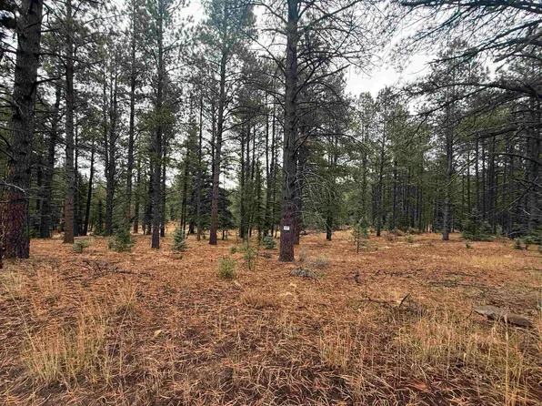 Lot 37 S Valle Grande Trl, Angel Fire, NM 87710