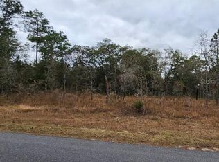 15037 Dusky Warbler Rd Lot 18, Brooksville, FL 34614