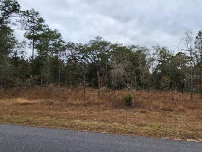 15057 Dusky Warbler Rd Lot 19, Brooksville, FL, 34614
