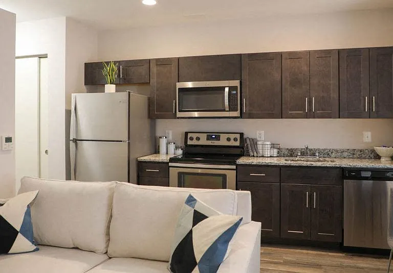 Kitchen and Living Area