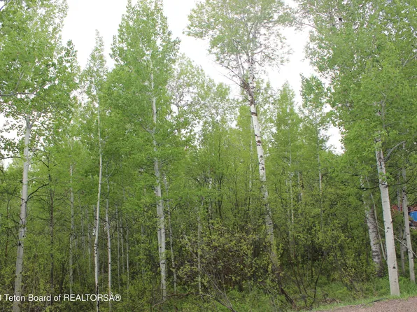 9 & 10 Cedar Dr, Thayne, WY 83127